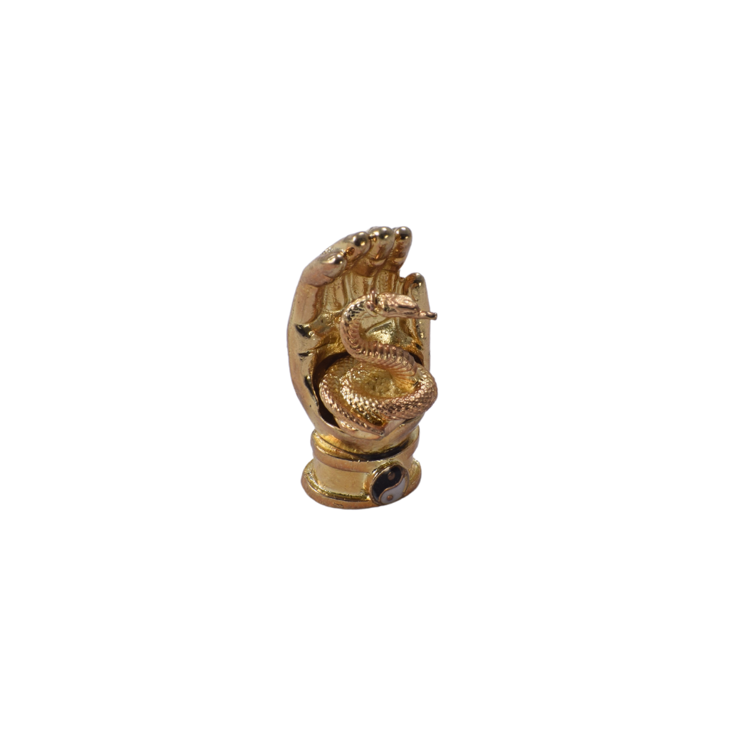 Mano Protectora con Serpiente