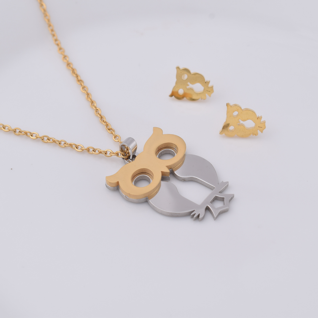 Set collar y aretes - buho plateado