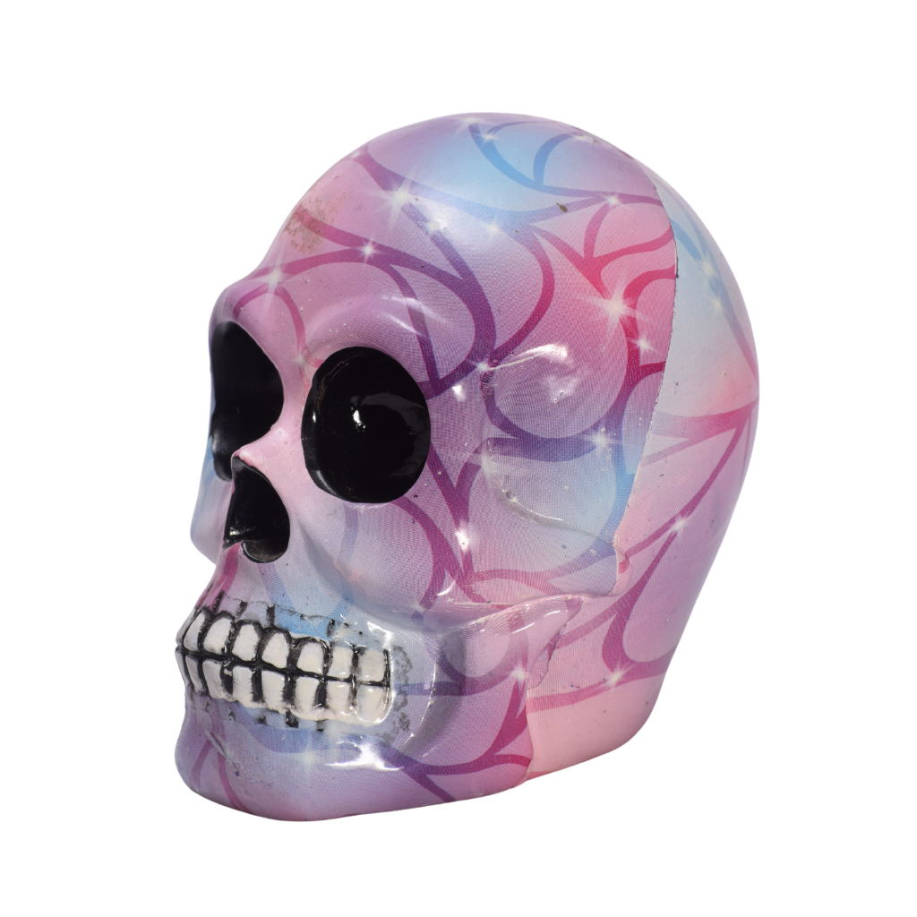 Calavera Fucsia