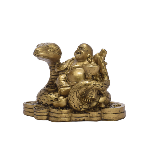 Serpiente Protectora Buda